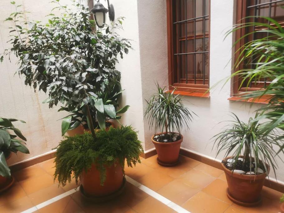 Attico Luxury SuiteMálaga Exterior foto